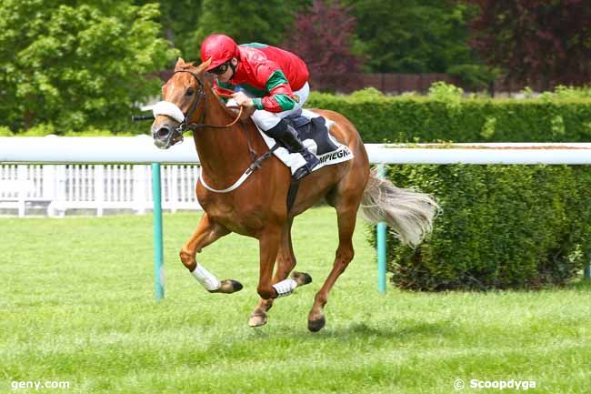 16/05/2017 - Compiègne - Prix du Grand Maître : Arrivée