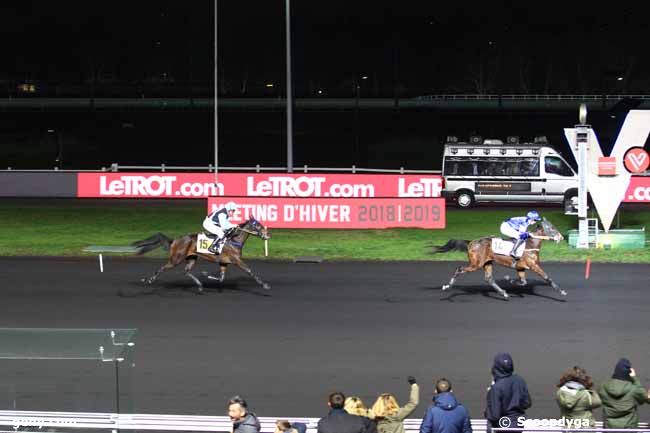 05/01/2019 - Vincennes - Prix de Marolles : Ankunft