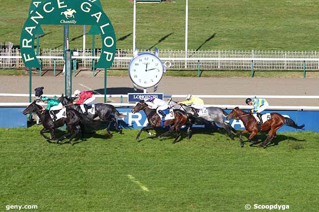 19/11/2019 - Chantilly - Prix du Haras d'Ouilly : Result