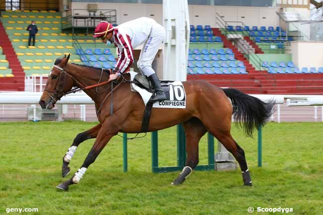 17/03/2021 - Compiègne - Prix Beauté de Cour : Arrivée