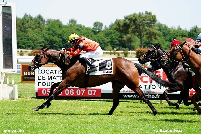 15/06/2022 - La Teste-de-Buch - Prix Reverdy Nutrition Equine : Arrivée