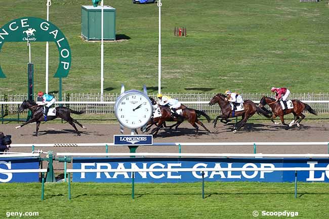 05/10/2022 - Chantilly - Prix du Cabinet des Gemmes : Ankunft