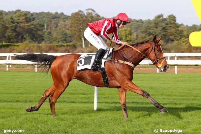 31/10/2022 - Fontainebleau - Prix des Gorges d'Apremont : Ankunft