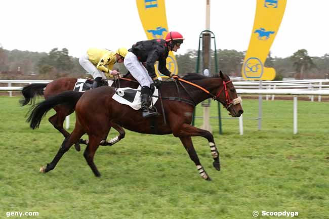 22/12/2022 - Fontainebleau - Prix Baron Maurice de Nexon : Arrivée