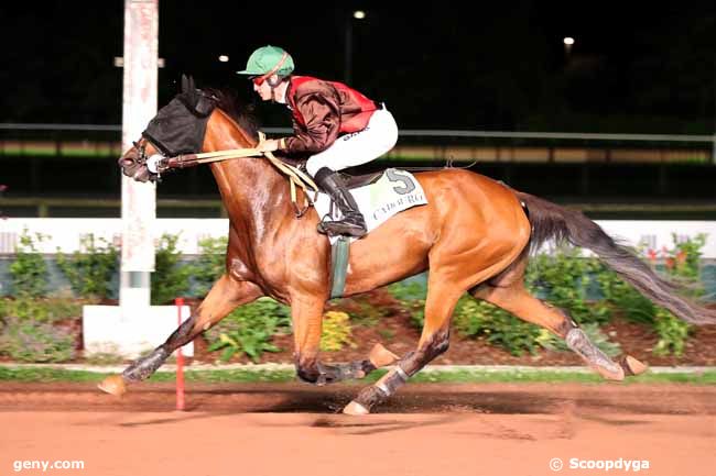 28/07/2023 - Cabourg - Prix des Euphraises : Arrivée