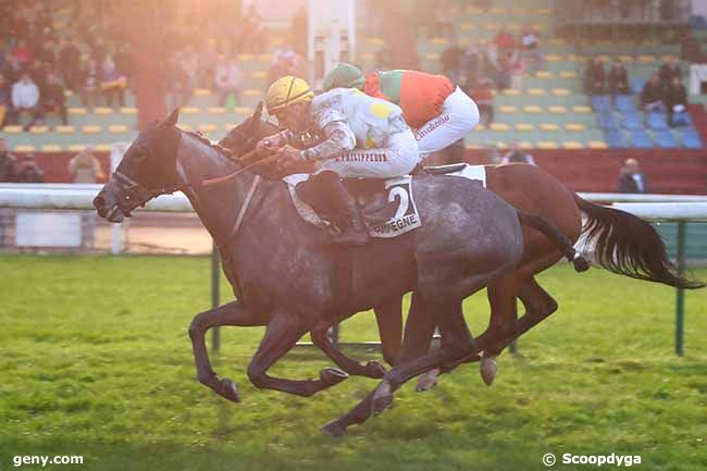 28/10/2023 - Compiègne - Prix Canonnier Beachcomber Golf Resort & Spa (Prix Cérilly) : Arrivée