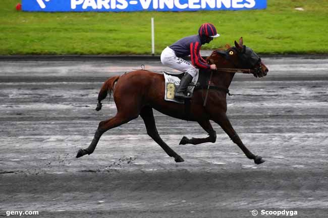 27/11/2023 - Vincennes - Prix de Santigny : Arrivée