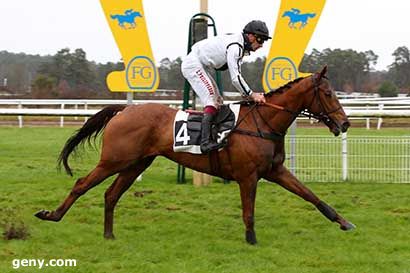 05/12/2023 - Fontainebleau - Prix des Aubépines : Arrivée