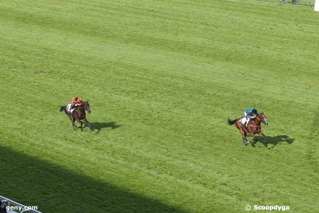 19/05/2024 - Auteuil - Prix Alain du Breil - Course de Haies de Printemps des Quatre ans : Arrivée