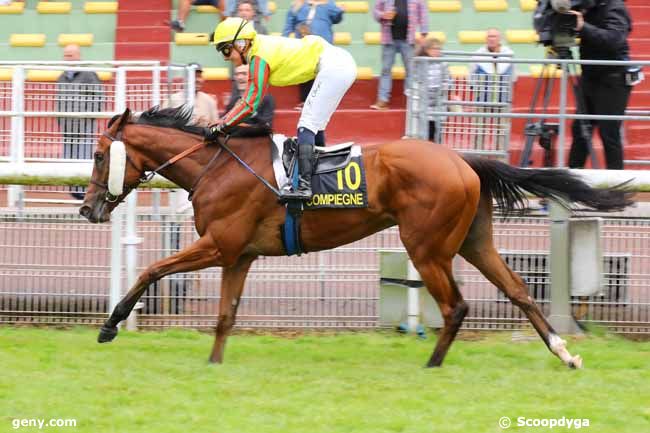 12/07/2024 - Compiègne - Prix de Pondron : Arrivée