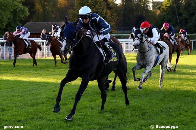 11/10/2024 - Compiègne - Prix Carrefour du Mont du Tremble : Arrivée