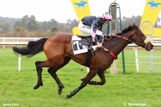 28/10/2024 - Fontainebleau - Prix de Thoméry : Arrivée