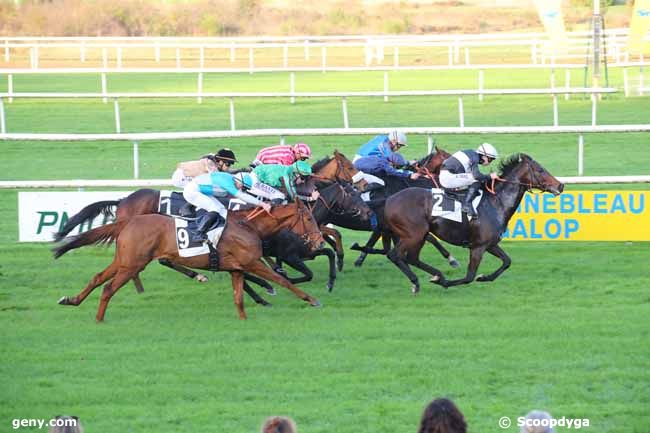 04/11/2024 - Fontainebleau - Prix des Pins Laricio : Arrivée