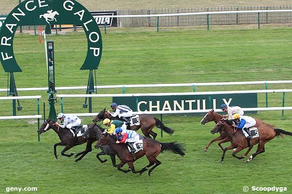 18/07/2008 - Chantilly - Prix de la Loge : Arrivée