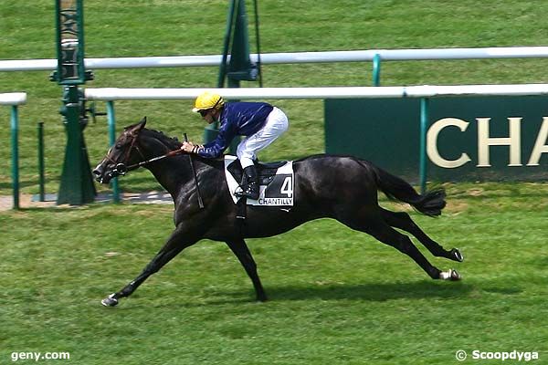 28/07/2008 - Chantilly - Prix de Montgeroult : Arrivée