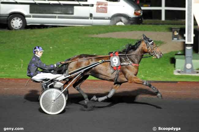 14/10/2008 - Vincennes - Prix Ludovica : Arrivée