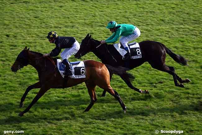 13/11/2009 - Maisons-Laffitte - Prix de Port Marly : Arrivée