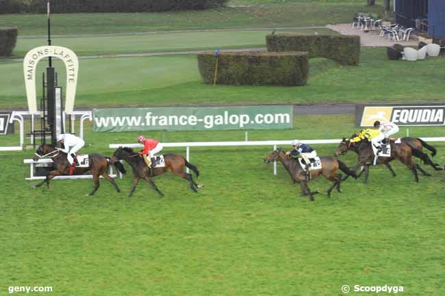 12/11/2010 - Maisons-Laffitte - Prix d'Uzès : Ankunft