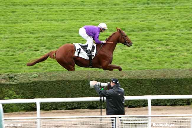 01/11/2012 - Saint-Cloud - Prix Dicta Drake : Ankunft