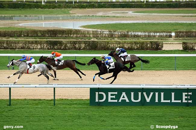 05/01/2013 - Deauville - Prix de la Brèche-au-Diable : Ankunft