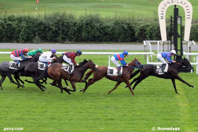 30/09/2013 - Maisons-Laffitte - Prix de Bures-sur-Yvette : Arrivée