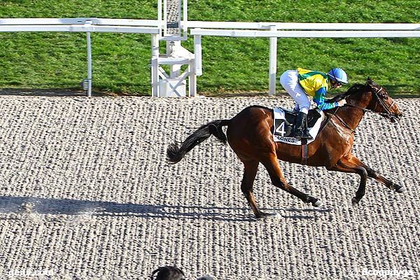 12/02/2014 - Cagnes-sur-Mer - Prix des Spirées : Arrivée