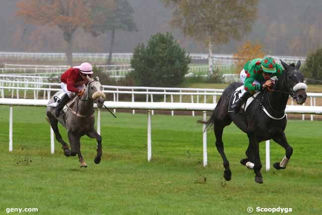 17/11/2014 - Fontainebleau - Prix de la Table du Roi : Arrivée