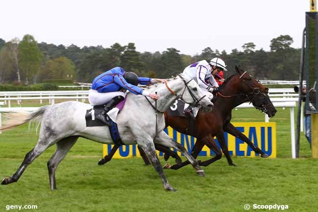 22/04/2016 - Fontainebleau - Prix Colonel Hebrard : Arrivée