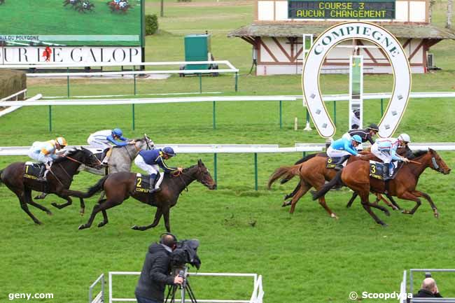 08/03/2017 - Compiègne - Prix du Polygone : Arrivée