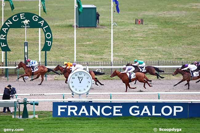 08/02/2020 - Chantilly - Prix du Rond du Manège : Arrivée