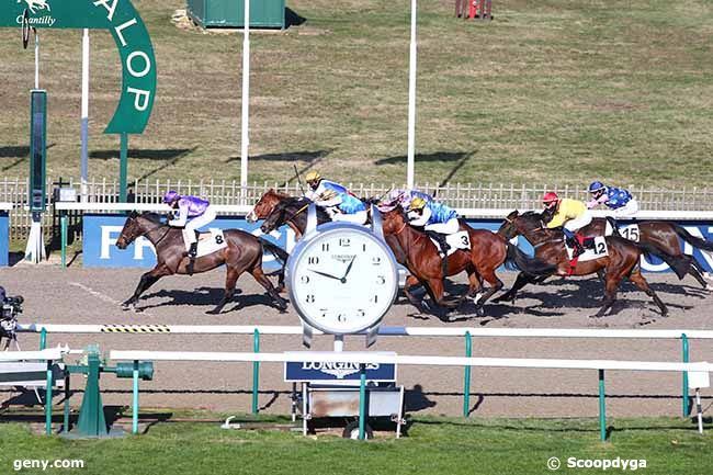 13/02/2021 - Chantilly - Prix de Presles : Arrivée