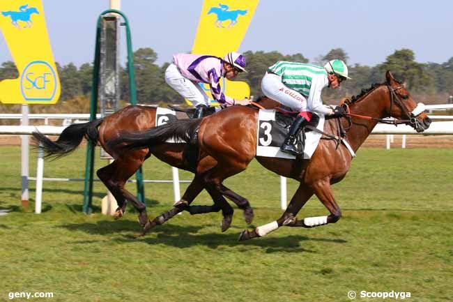 25/03/2022 - Fontainebleau - Prix des Bruyères : Arrivée