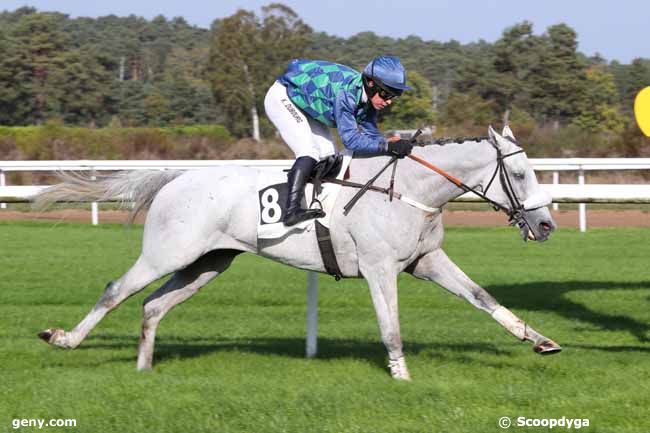 31/10/2022 - Fontainebleau - Prix Colonel Robert Labouche : Arrivée