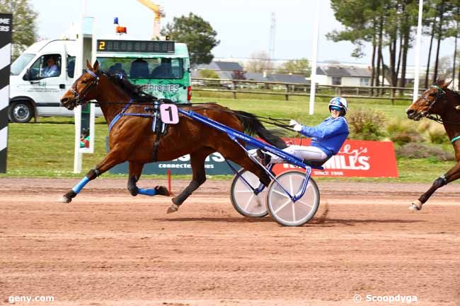 05/04/2023 - Angers - Prix Intermède : Arrivée