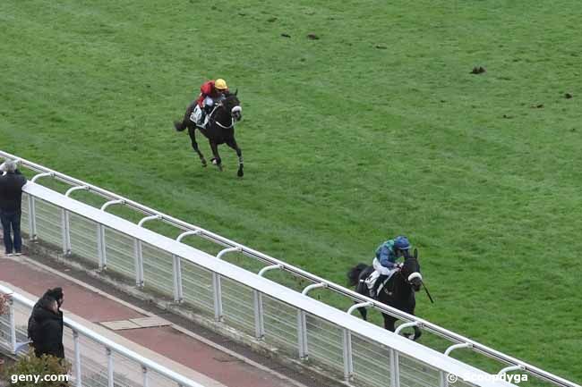 03/11/2023 - Auteuil - Prix Pierre de Lassus : Arrivée