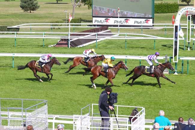 17/09/2024 - Compiègne - Prix de Verberie : Arrivée