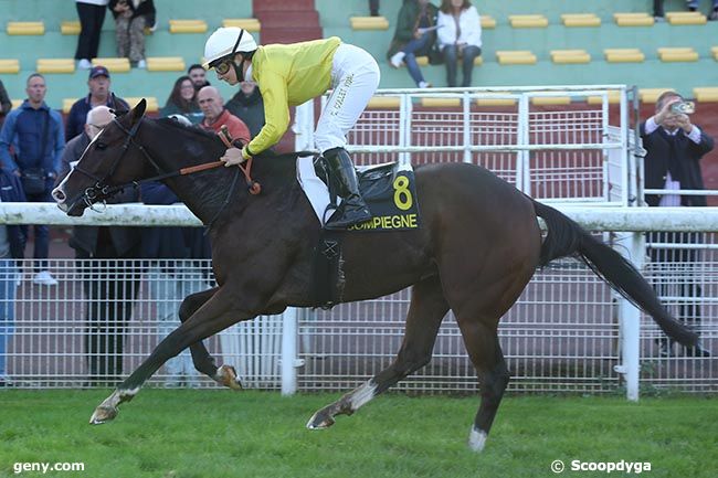 11/10/2024 - Compiègne - Prix Carrefour du Fond Pernant : Arrivée