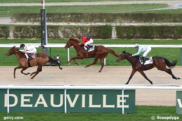 04/12/2008 - Deauville - Prix de Villepelée : Arrivée