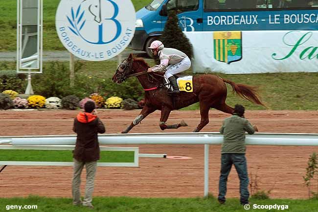 13/11/2013 - Bordeaux-Le Bouscat - Prix de Vichy : Result