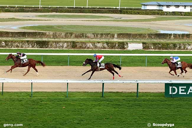 14/12/2013 - Deauville - Prix de Précolette : Arrivée