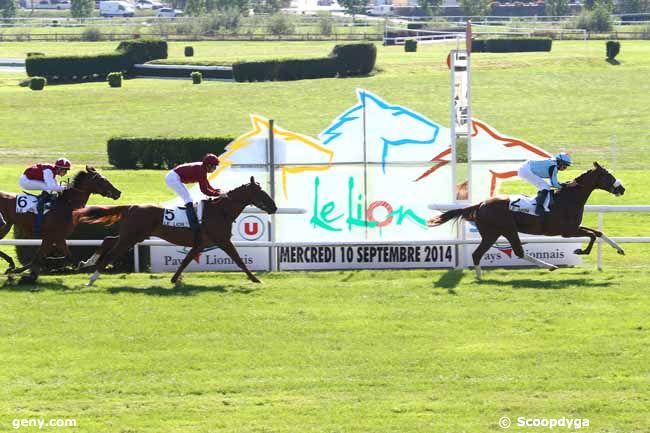 10/09/2014 - Le Lion-d'Angers - Prix Paul Saulou : Ankunft