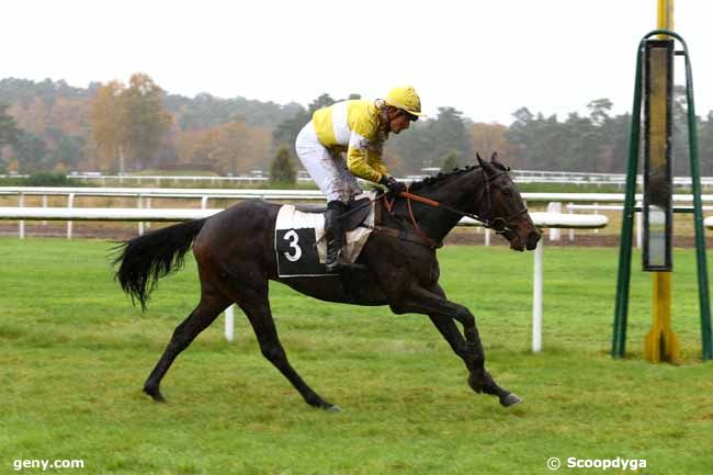 17/11/2014 - Fontainebleau - Prix Henry Maze-Sencier : Result