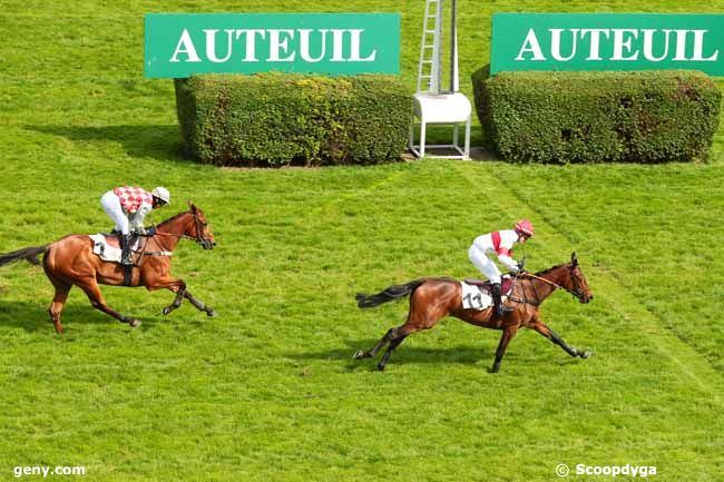 27/05/2016 - Auteuil - Prix Jasmin II : Arrivée
