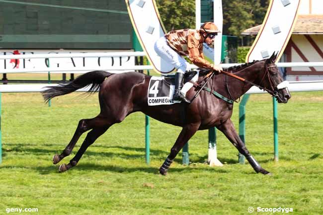 21/09/2016 - Compiègne - Prix Grand Croc : Arrivée