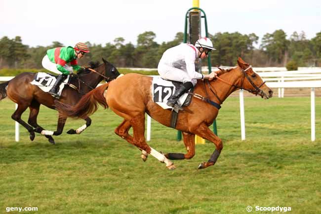 03/03/2017 - Fontainebleau - Prix de Bouligny : Arrivée