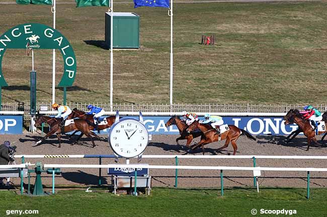 13/02/2021 - Chantilly - Prix du Carrefour Papillon : Arrivée