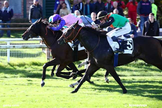 14/10/2023 - Fontainebleau - Prix Artus de Maille : Arrivée