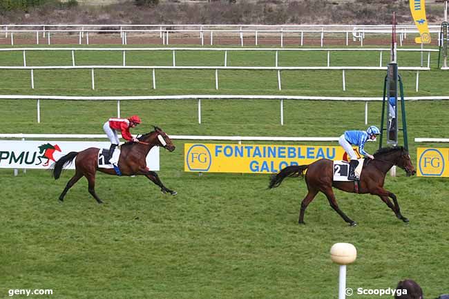 15/03/2024 - Fontainebleau - Prix du Pdv Pmu le Berny Ailly-sur-Noye (Prix de Peronne) : Arrivée