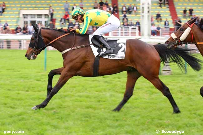 13/05/2024 - Compiègne - Prix Colonel Bernard Marlin : Arrivée