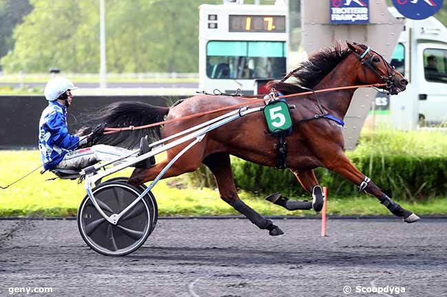 21/05/2024 - Vincennes - Prix Marcel Perlbarg : Arrivée